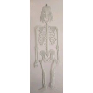 Vintage‎ Hinged Plastic Skeleton Witch Halloween